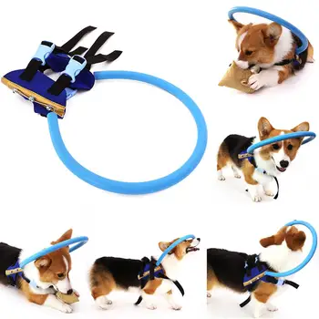 

Durable Blind Pet Anti-collision Ring Scorpion Cataract Animal Protection Circle Guide Dog Harness For Small Puppy Dogs Yorkies
