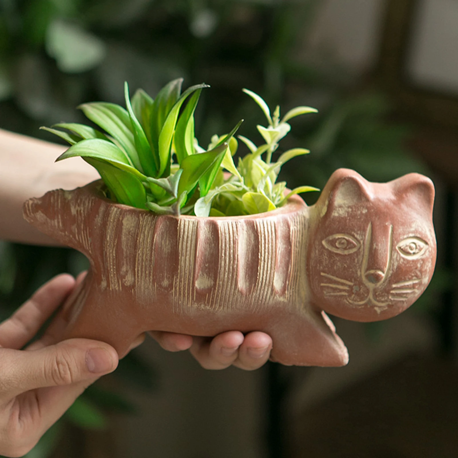 手塗装猫型の花ポット多肉植物ポットなしガーデンプランター植物サボテンの花プランターホーム装飾 Flower Pots Planters Aliexpress