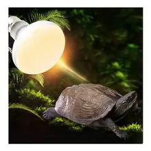 Тепловая лампа для рептилий, инфракрасная керамическая нагревательная лампа для домашних животных, для черепахи, ящерицы, паук, коробка, теплый светильник, лампочки