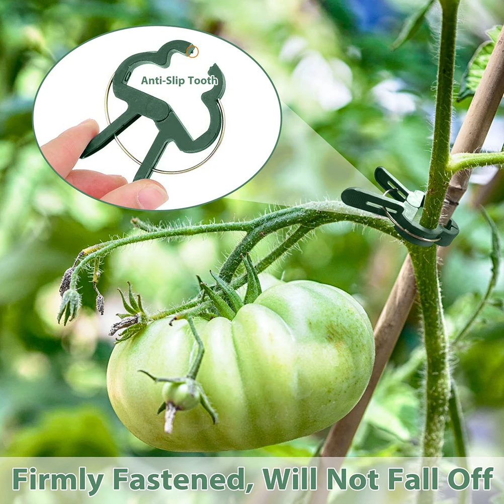 20Pcs Reusable Garden Plant Fixed Clip Vines Grape Support Fastener Vegetables Flowers Clamp Greenhouse Bracket Connector Clip 20Pcs Reusable Garden Plant Fixed Clip Vines Grape Support Fastener Vegetables Flowers Clamp Greenhouse Bracket Connector Clip