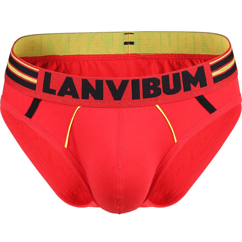 2020 Brand LANVIBUM Men's Cotton Briefs Gay Sexy Mens Underwear Men's Briefs Slip Hombre