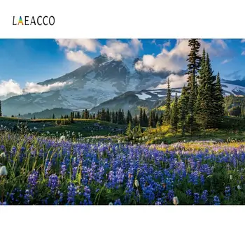 

Laeacco Lavender Field Forest Mountain Sky Cloud Photography Backgrounds Vinyl Customize Photographic Backdrops For Photo Studio