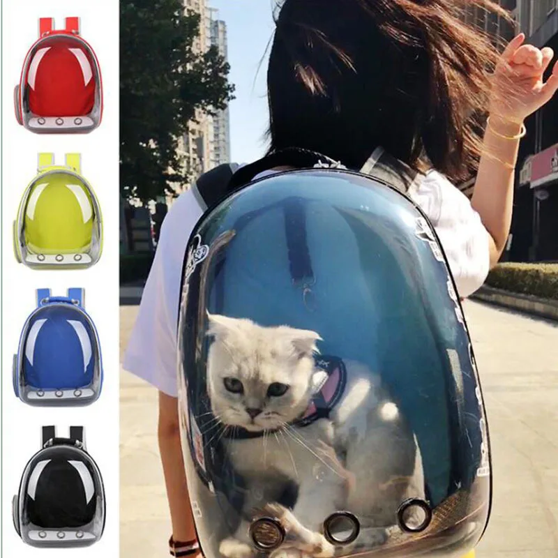 Pecute Transportin Gato Perro Bolsa de Transporte Portátil y Transpirable  para Mascotas, Bolso Transportin para Gatos