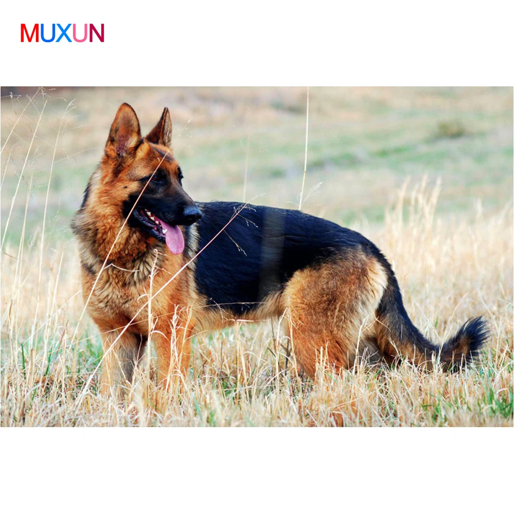 Ha8700d10e41c449681c505a54a8edf29m