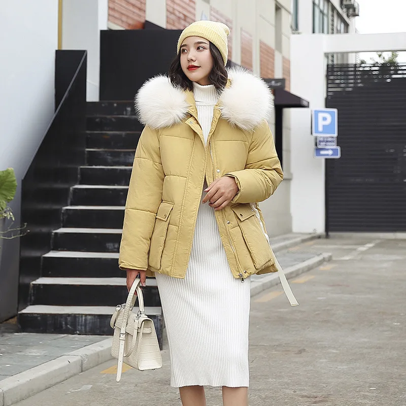 

Photo Shoot 19 Autumn And Winter New Style down Jacket Cotton-padded Clothes Women's Korean-style Short Parka Hooded Large Fur C
