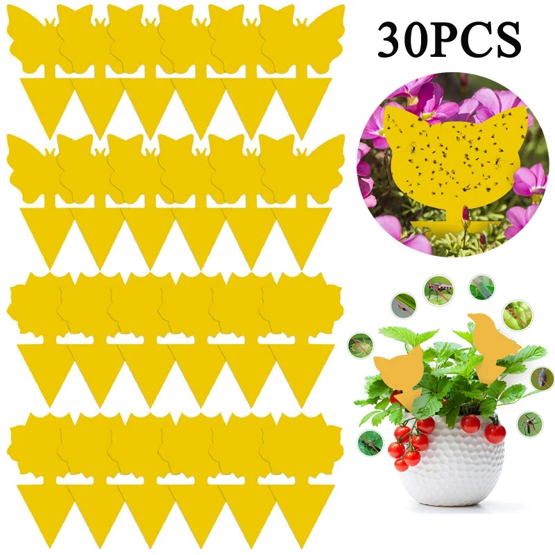Window Fly Traps Indoor, Sunflower Fly Catcher Window Fly Sticker, Sticky Window  Insect Trap For Indoor Use Indoor And Outdoor Insect Traps, Indoor Outdoor  House Kitchen Plants Trees Flying Insects, Pest Control 