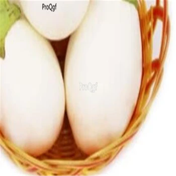 

Ngryise 8000Pcs Solanum melongena eggplant