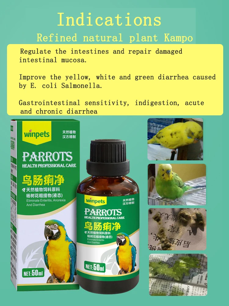 água verde disenteria enterite pássaro suprimentos 50ml