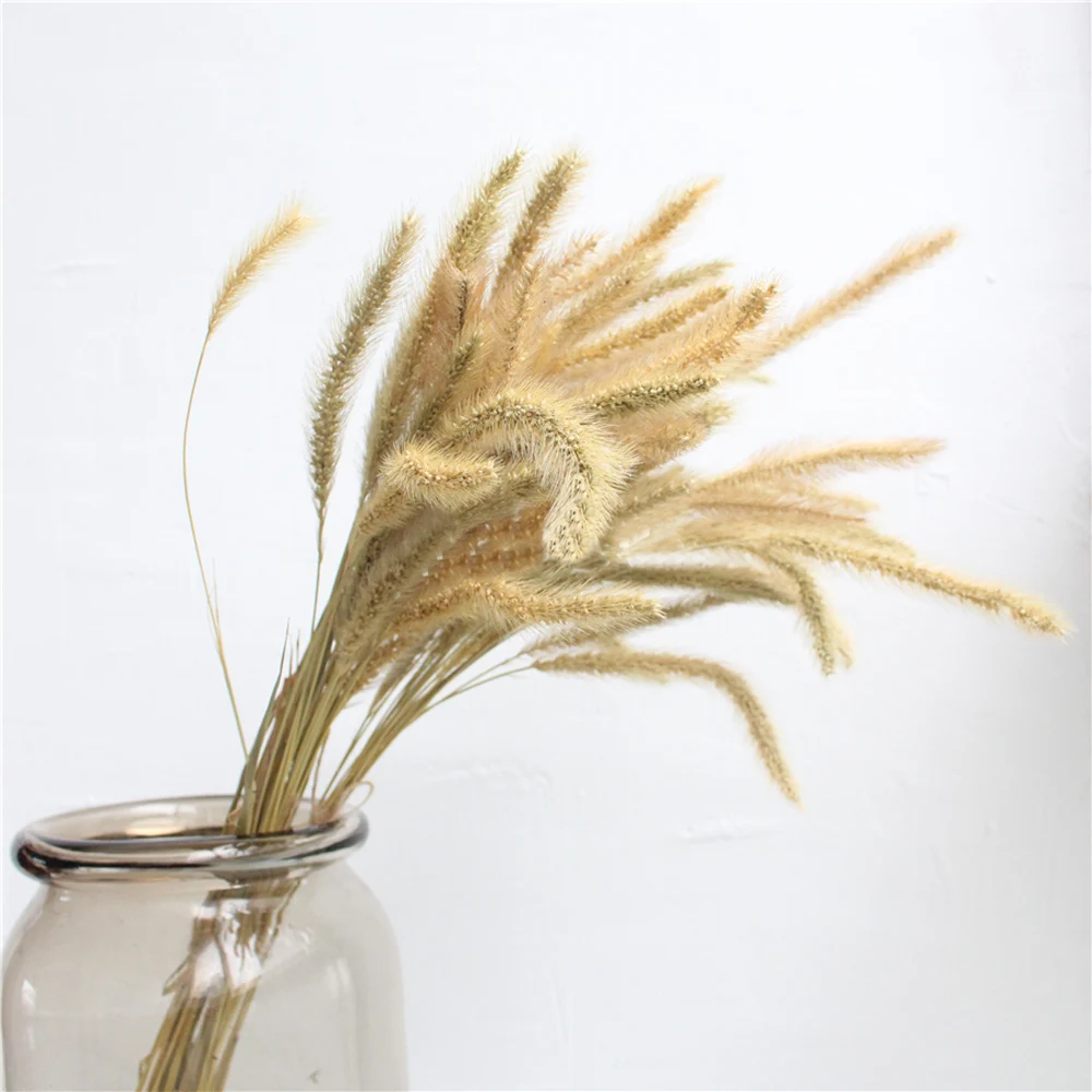 O1CN012pXLhb1pAbcbwp67S_!!293185320