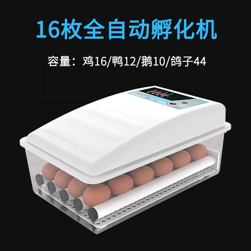 Weizhen автоматический инкубатор маленький бытовой мини инкубатор маленькое яйцо инкубационная коробка курица утка инкубатор для гусей - Цвет: Burgundy