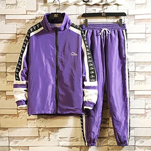 Женский спортивный костюм из двух предметов в стиле хип-хоп женская модная куртка с принтом Одежда Брюки с эластичной резинкой на талии уличная пара костюм M-5XL - Цвет: Purple