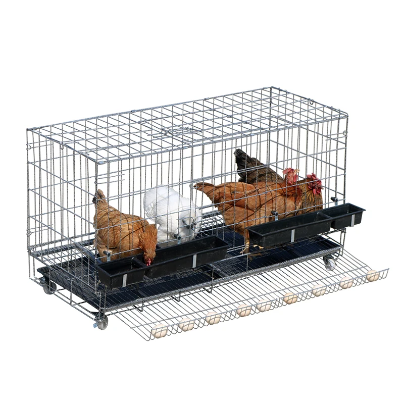 Chicken Cage Home Egg Culture Folding And Duck Automatic Rolling Cages Accessories Aliexpress