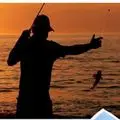 OutdoorSports Supplier Store