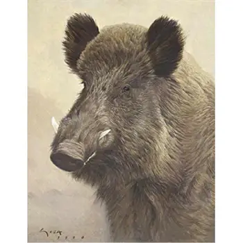 

5D DIY Diamond Painting Cross Stitch Wild boar picture Full square diamond Embroidery icon Rhinestone Mosaic stickers Home Decor