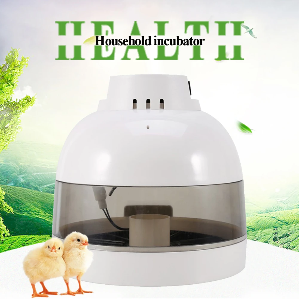 

Digital 10 Eggs Poultry Egg Incubator Brooder With Digital Temperature Control Egg Incubator Hatcher Chicken Bird Egg Humidity