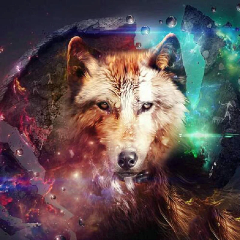 100% Full 5D Diy Daimond Painting &quotWolf Animal &quot 3D Diamond Round Rhinestones Diamant Embroidery | Дом и сад