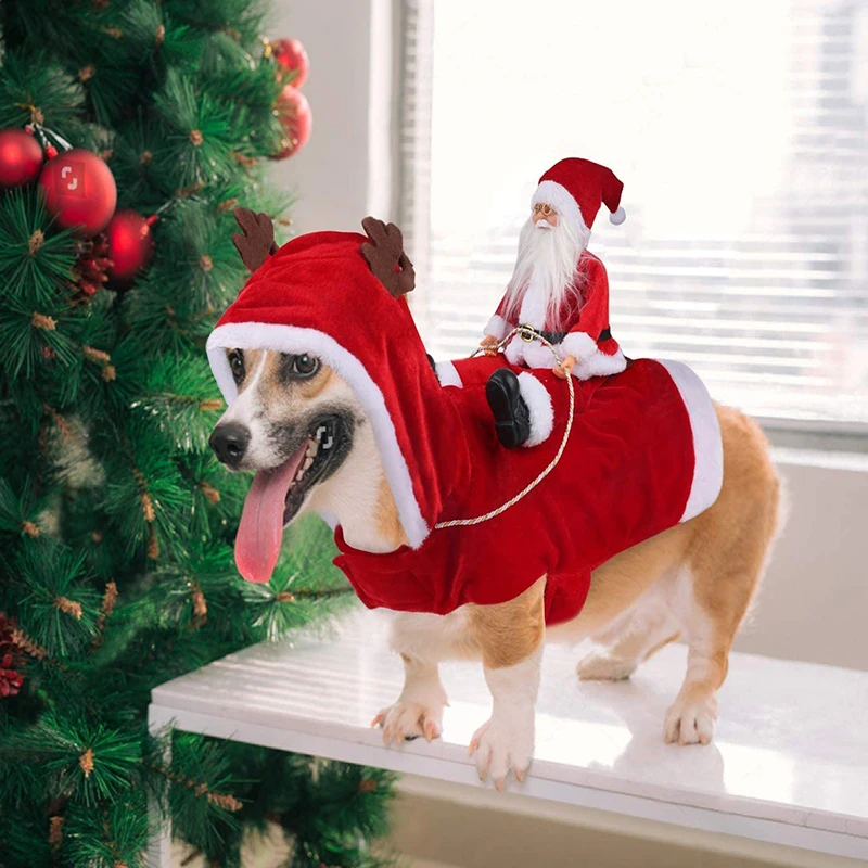 Disfraz De De Papá Noel Para Perro