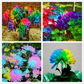 

Plant Flower Bath Salts colorful Himalayan orchid Essence 100Pcs XZZ-274