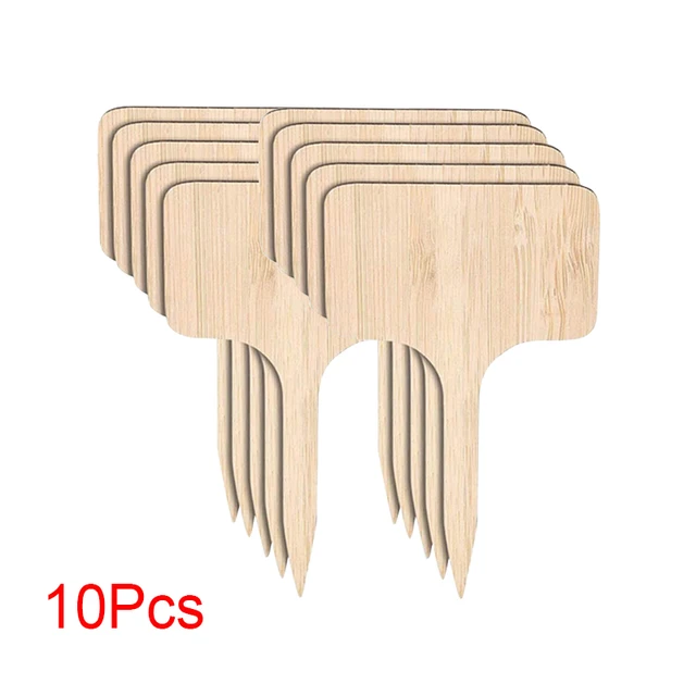 10Pcs