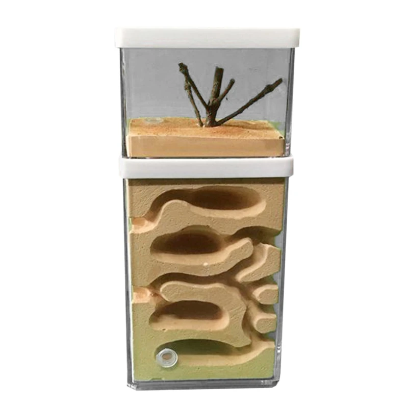 

Insect Observation Ant Hill Workshop Gypsum Nest Box Transparent Acrylic Insect Feeding System Habitat Nature Science