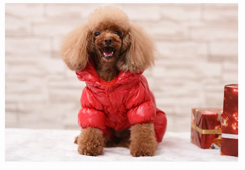 Fashion Windproof Winter Dog Clothes Warm Quality Waterproof Puppy Jacket For Small Medium Dog Pet Coat Blue/Red/Black