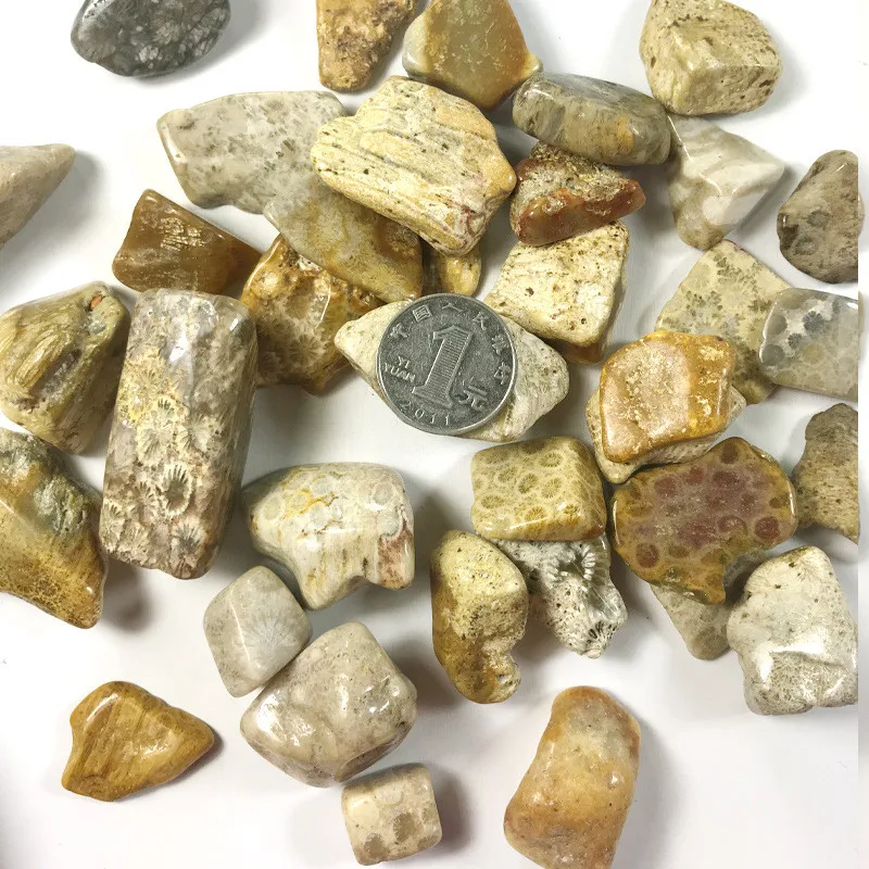 100g 15-40mm natural coral jade stone chrysanthemum stone gravel original stone landscaping decorative stone ornaments ore 100g 15-40mm natural coral jade stone chrysanthemum stone gravel original stone landscaping decorative stone ornaments ore