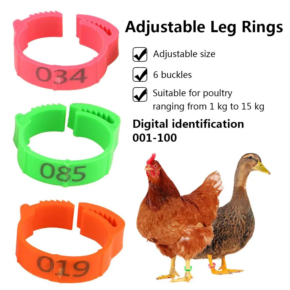 

100PCS Chicken Leg Ring Adjustable Poultry Leg Buckle Digital Label Ring for Chicken Duck Pigeon Poultry Farming Distinction 20E