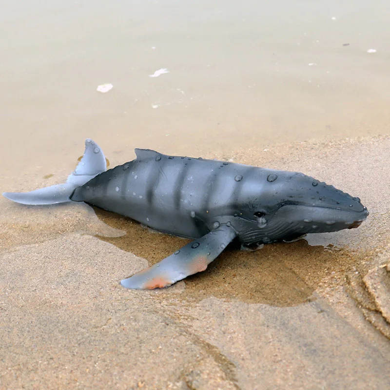 

4 type Entity sealife Gray whale Model sea life animals kids learning toys For children Collection gift
