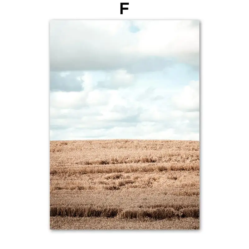 Wall-Art-Canvas-Painting-Beige-Reed-Cotton-Plant-Leaves-Nordic-Posters-And-Prints-Landscape-Wall-Pictures (8)
