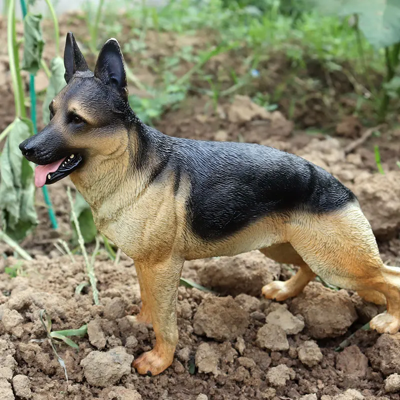 德国牧羊犬2
