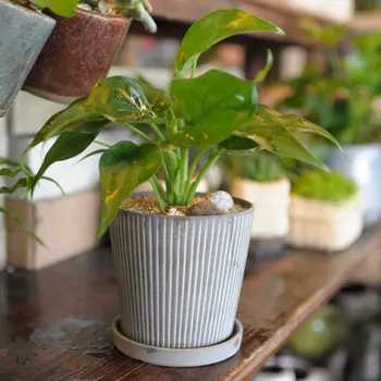 

2pcs Flower Pots Modern Style Round Durable Flower Planter Planter Plant Pot for Outdoor Indoor Garden
