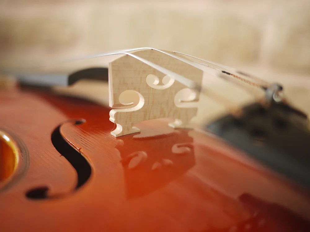 Модель Antonio StradIvari 1715. Антикварный лак ручной работы. No.2434. Мощный тон