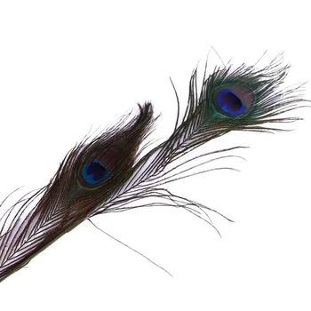 

Pet Cat Feather Stick Toys Peacock Feather Acrylic Durable Interesting Interactive Cat Toy For Gatos