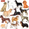 Oenux nuevo perro Animal figura de acción Corgi perro Golden Retriever Sausagedog samoyedo modelo figuras colección de PVC juguete para los niños ► Foto 1/6