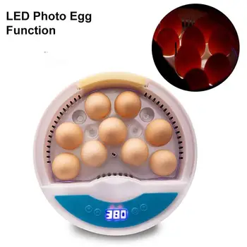

Mini 9 Eggs Capacity Automatic Incubator Intelligent Temperature Control Egg Practical Multi-functional Durable Hatcher