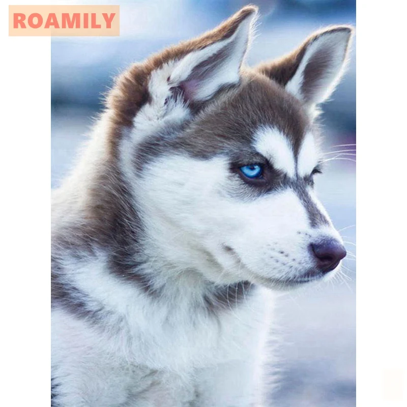 

Diamond Embroidery Dog,New Arrival Full Square/Round Diamond Painting,Dogs,Animals,Pictures with Rhinestones,Room Decoration Pai