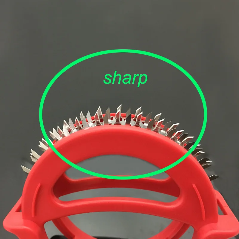 3566986633_1481285182