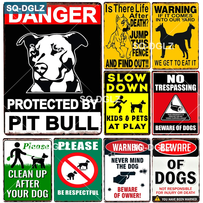 Why Does My Dog Eat The Wall