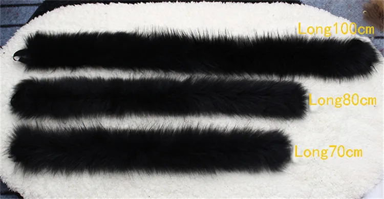 HTB1T_LlNXXXXXX.XpXXq6xXFXXXF