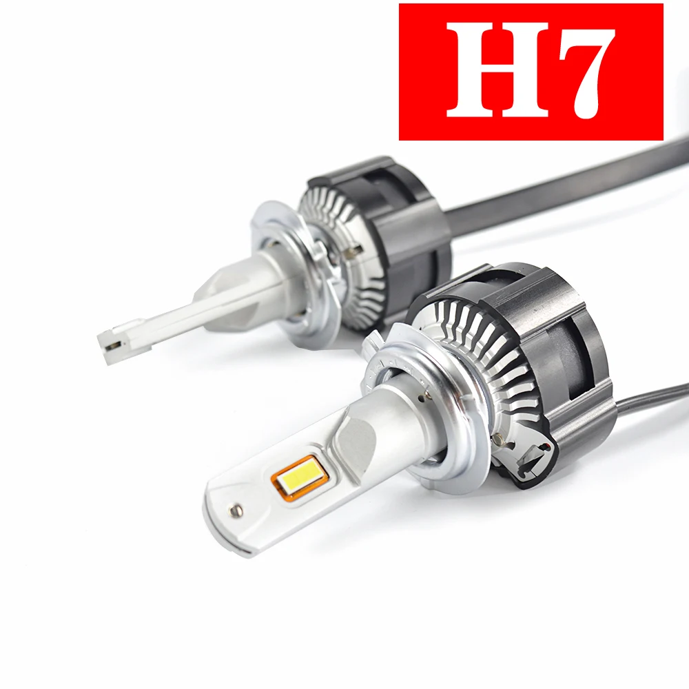 H7 (1)