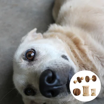 

5pcs/Set Durable Reusable Lightweight Pet Supplies Rabbits Chewing Plaything Parrot Grinding Toy Wooden Toy