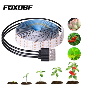 

USB Phytolamps for Plants LED Plant Growth Light Strip 5V 2835 Chip 0.5m 1m 2m 3m for Hydroponic Greenhouse Seedlings Growth
