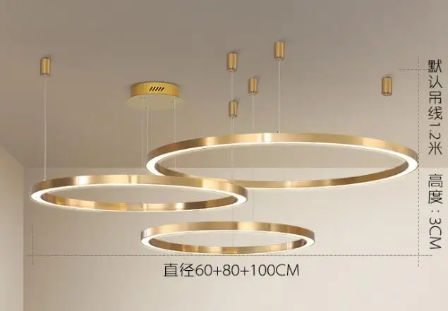 Dia 60 80 100cm Скандинавский минималистичный пост-современная люстра Креативный светодиодный светильник для гостиной столовой Золотая люстра для спальни круглая лампа - Цвет корпуса: Dia 60 80 100cm