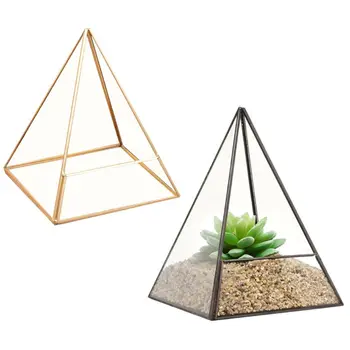 

Modern Modern Glass Terrarium Storage Box Glass Jewelry Holder Pyramid Tabletop Succulent Plant Terrarium Box/Air Plant & Cacti