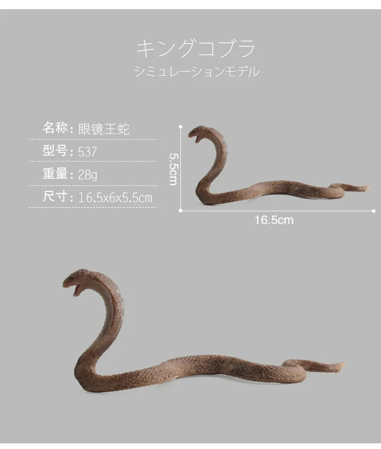 9140875646_920392923