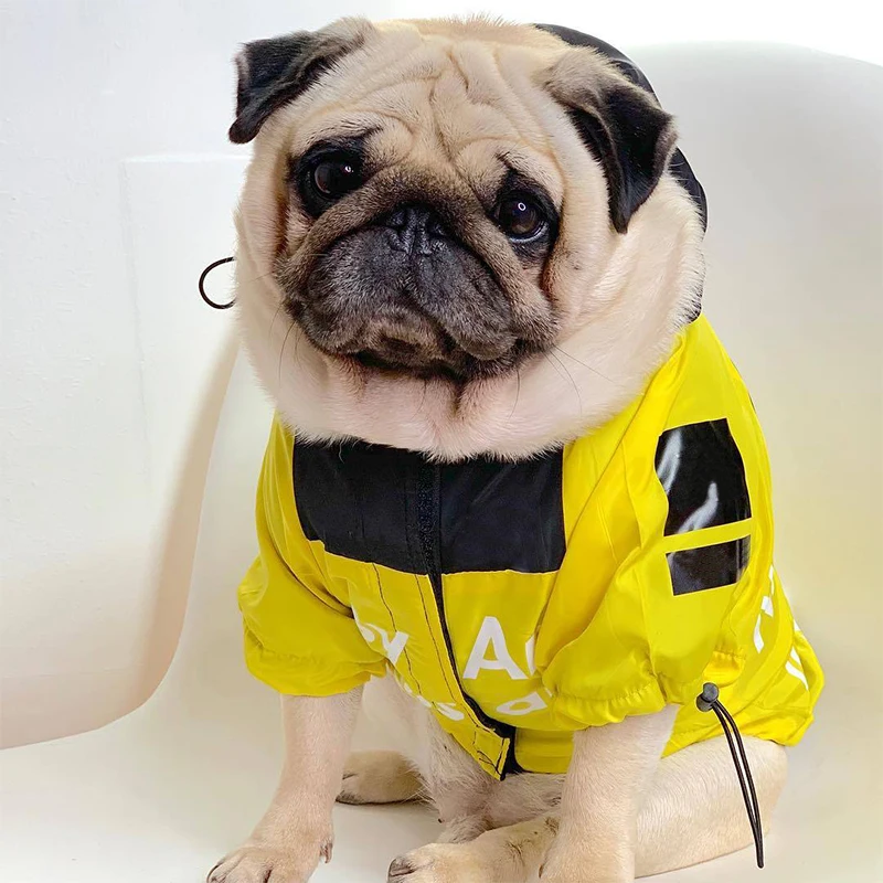 Tanie Moda Frenchbulldog płaszcz przeciwdeszczowy ubrania dla zwierząt domowych dla ubranie dla małego psa Chihuahua kurtka Pug bluzy z kapturem kostium Dropshipping PC1364