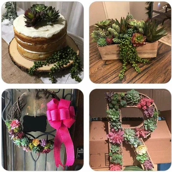 

9 PCS Artificial Succulents Picks Textured Aloe Faux Succulent Stems Wedding Engagement Anniversary Decorations