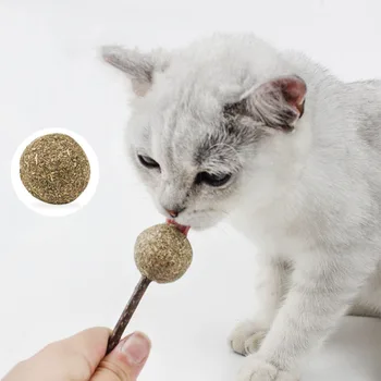 

Catnip Cat Toy Pet Cat Interactive Catnip Chewing Teeth Cleaning Toy Natural Catnip Lollipop Snack Stick With Mint Ball