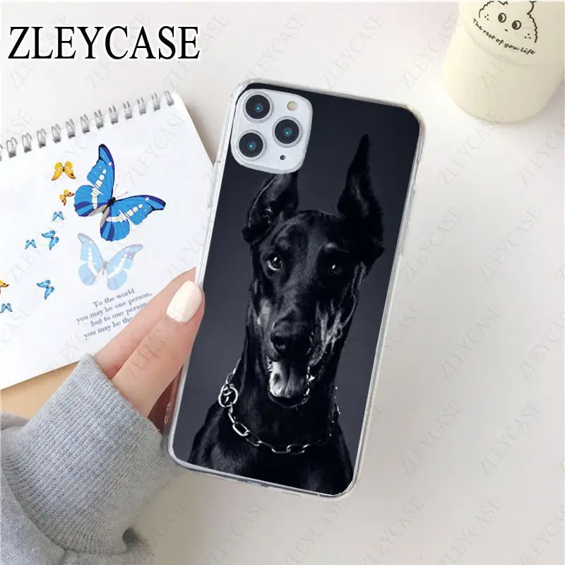 black Dachshund Doberman Dog face