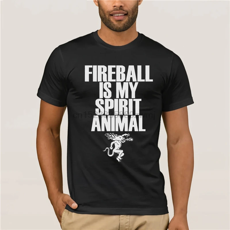 Мужская футболка Fireball Is My Spirit Animal2 | одежда